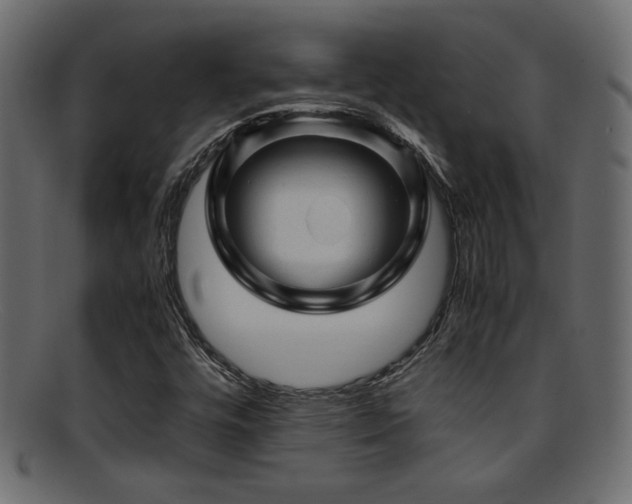 X0000095691448200801081238