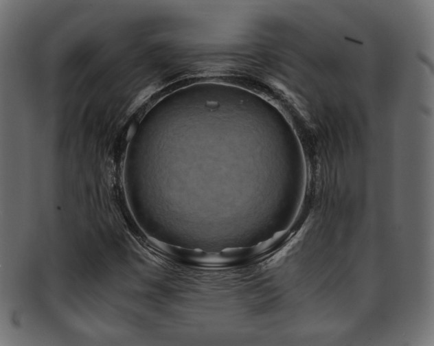 X0000095691449200801081238