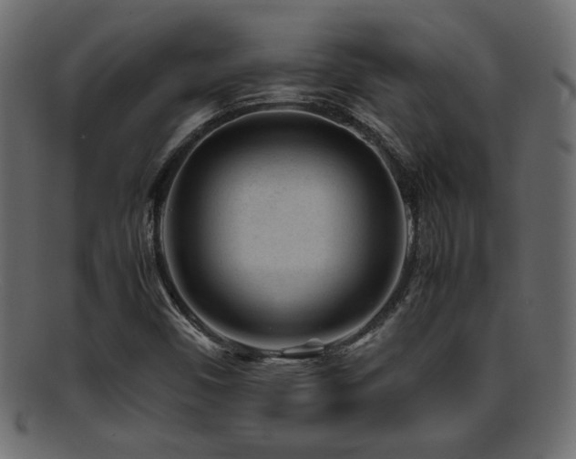 X0000095691450200801081238