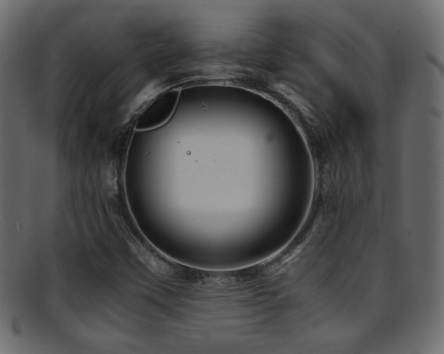 X0000095691451200801081238