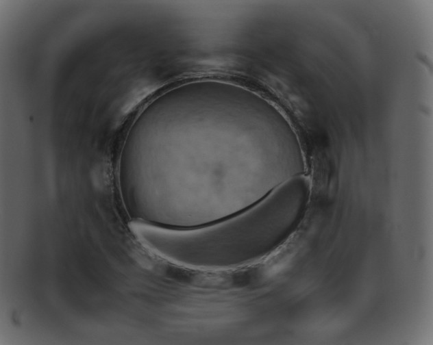 X0000095691453200801081238