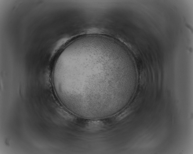 X0000095691454200801081238