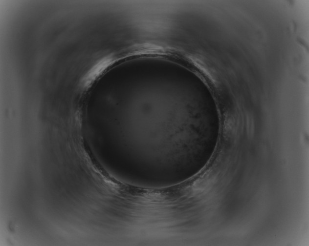 X0000095691455200801081238