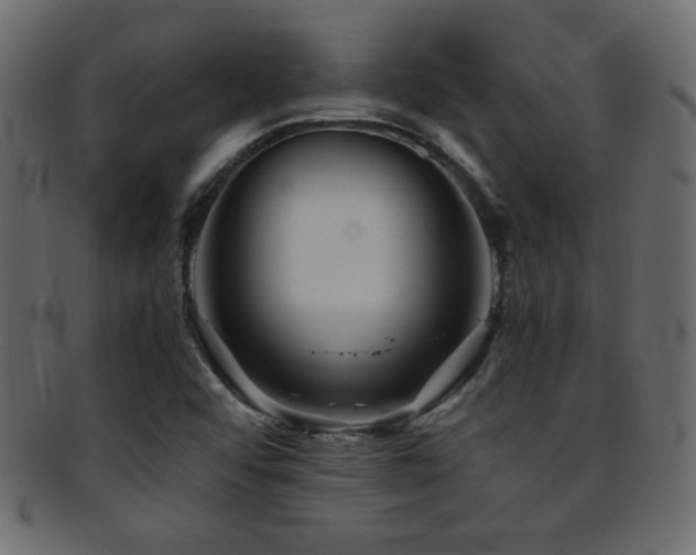 X0000095691456200801081238
