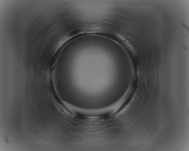 X0000095691457200801081238