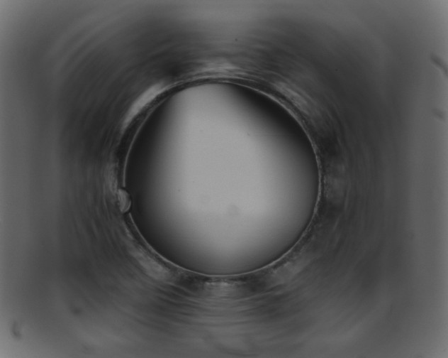 X0000095691458200801081238