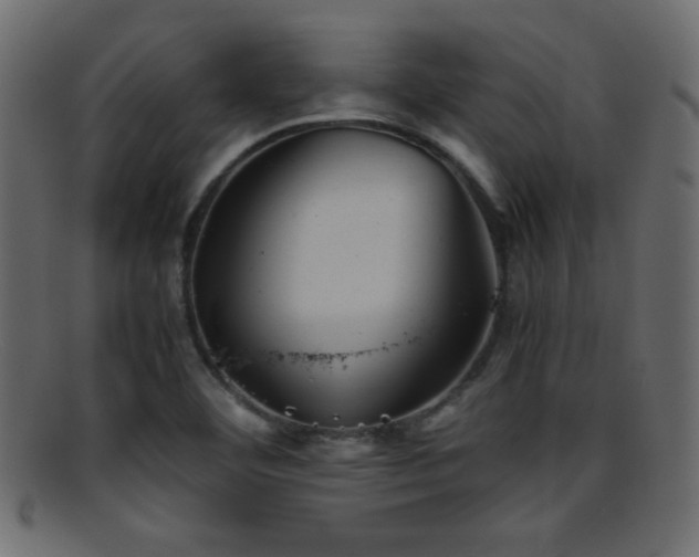 X0000095691460200801081238