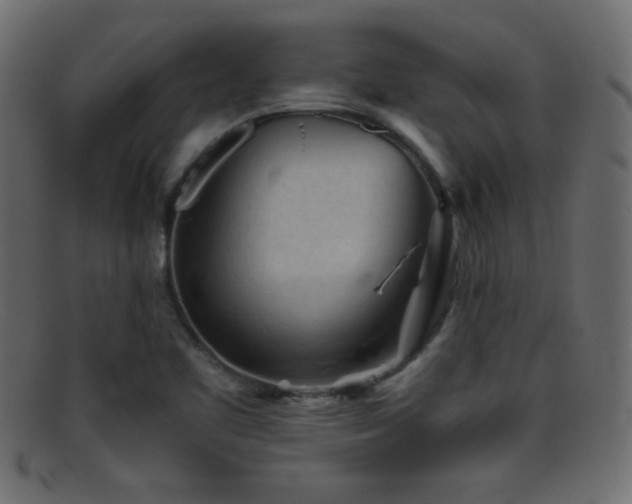 X0000095691461200801081238