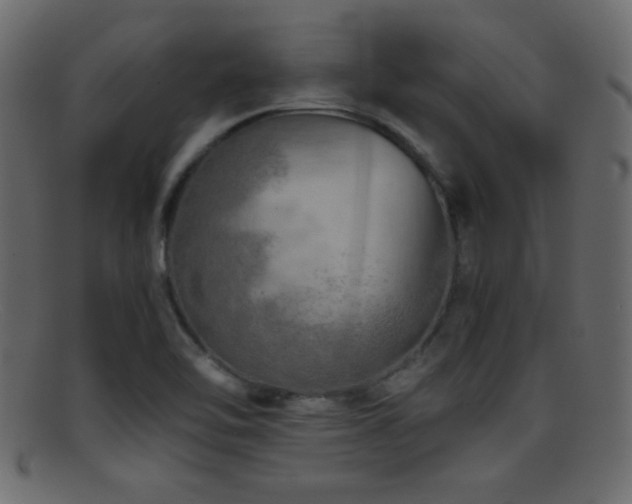 X0000095691462200801081237
