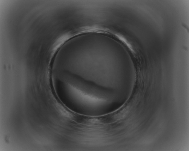 X0000095691463200801081237