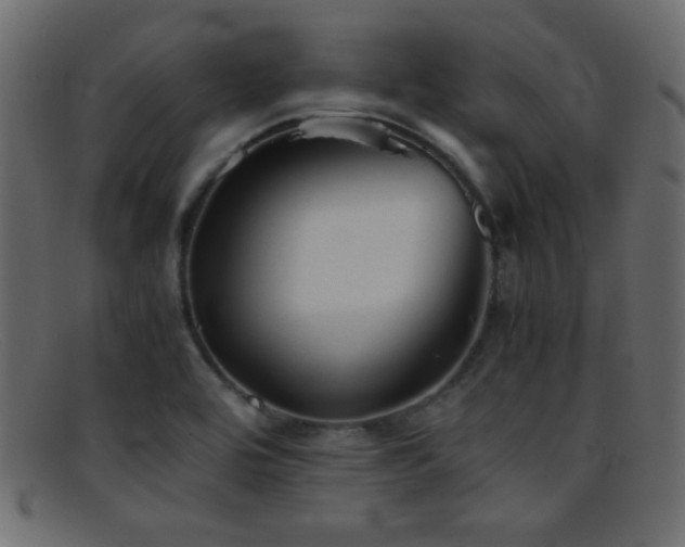 X0000095691464200801081237