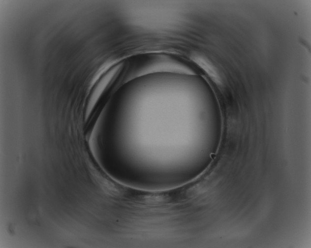 X0000095691465200801081237