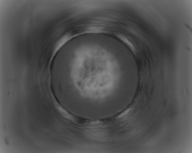 X0000095691467200801081237