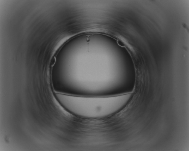 X0000095691468200801081237