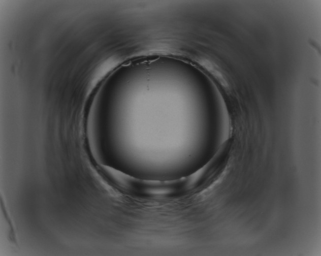 X0000095691469200801081237