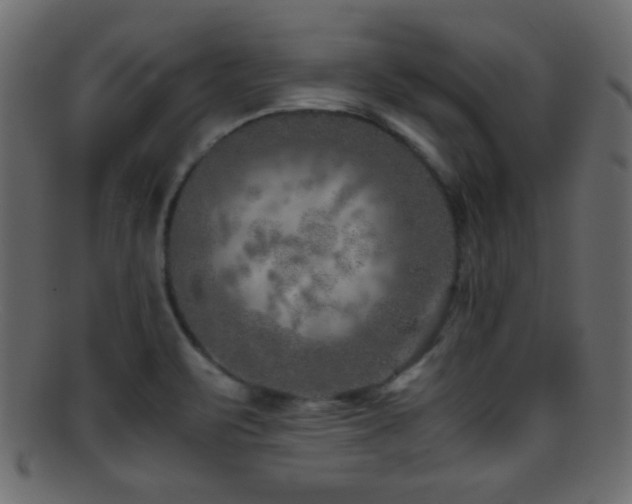 X0000095691471200801081237