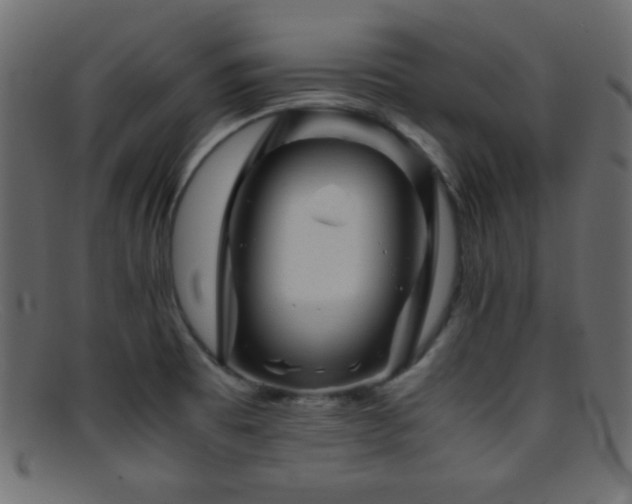 X0000095691473200801081237