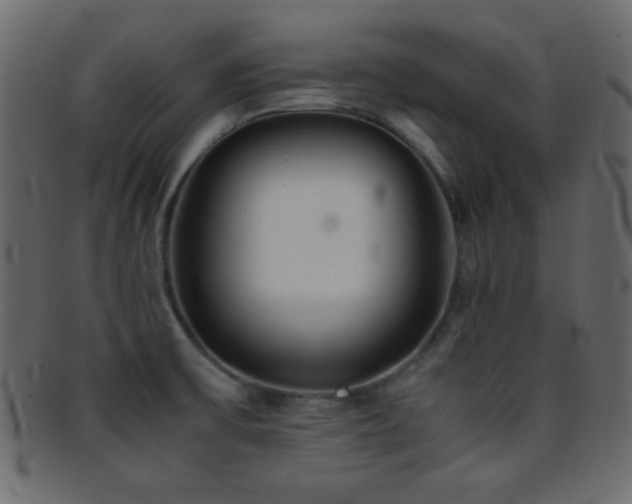 X0000095691475200801081237