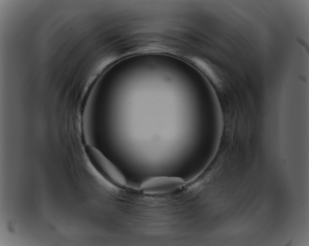 X0000095691476200801081237