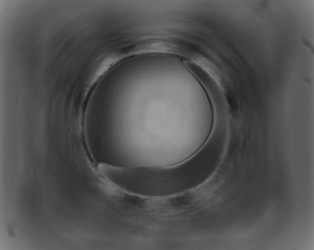 X0000095691477200801081237