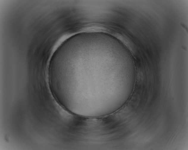 X0000095691478200801081237