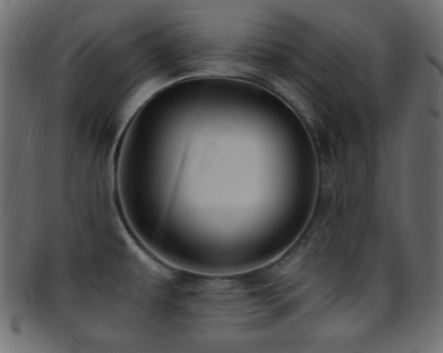 X0000095691479200801081237