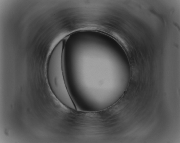 X0000095691480200801081237