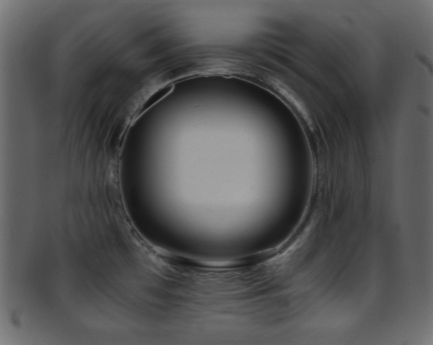 X0000095691481200801081237