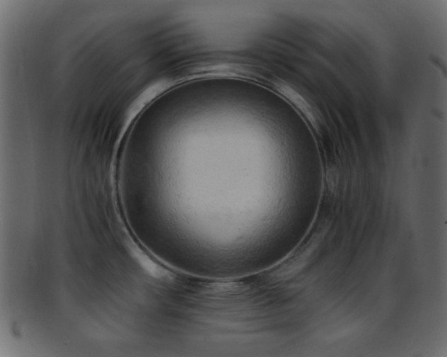 X0000095691482200801081237