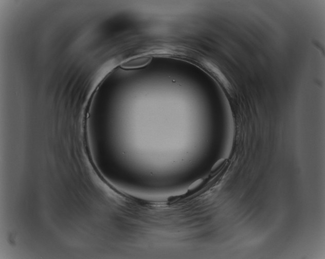 X0000095691483200801081237