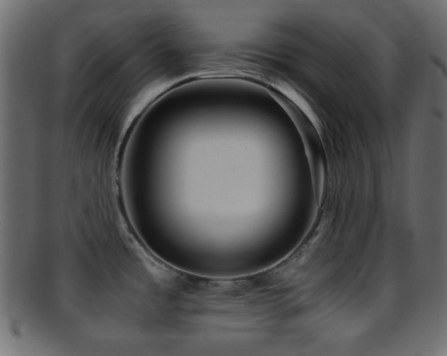 X0000095691485200801081237