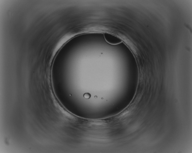 X0000095691486200801081237
