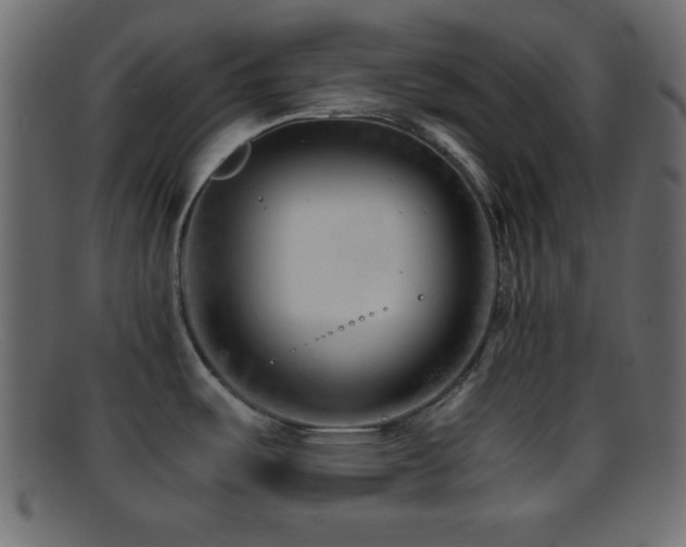 X0000095691487200801081237