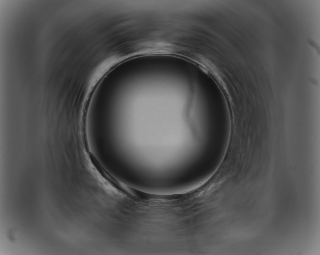 X0000095691488200801081237