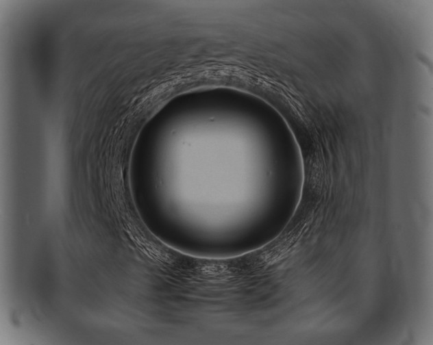 X0000095691489200801081236
