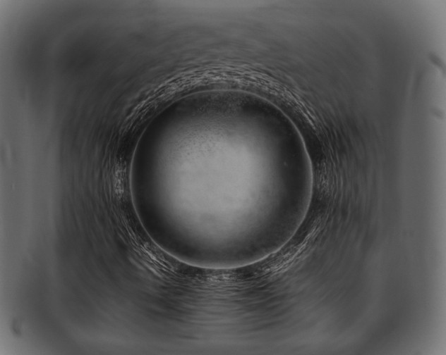 X0000095691490200801081236