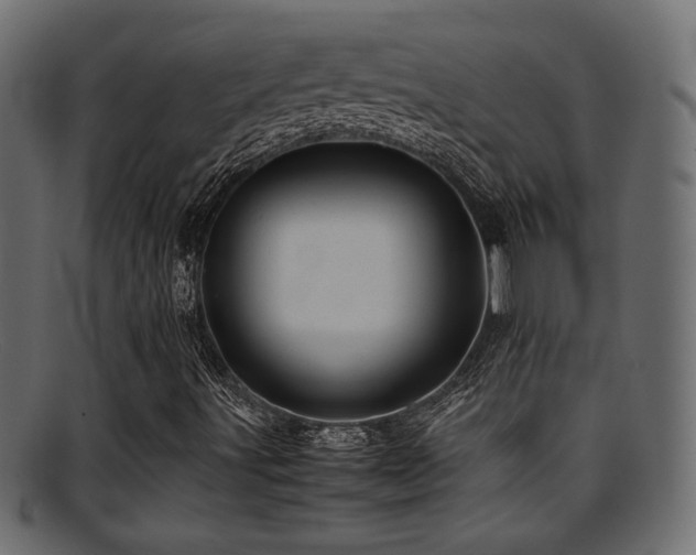 X0000095691491200801081236
