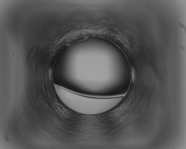 X0000095691492200801081236