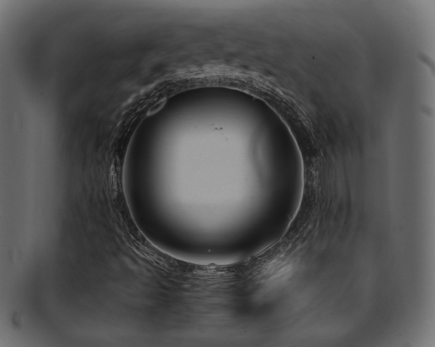 X0000095691493200801081236