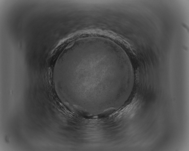 X0000095691494200801081236