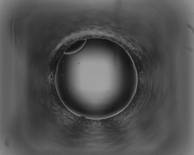 X0000095691495200801081236