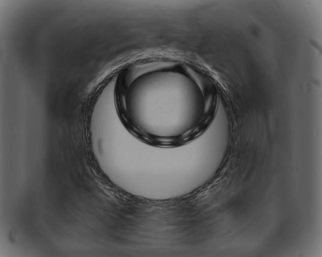 X0000095691496200801081236