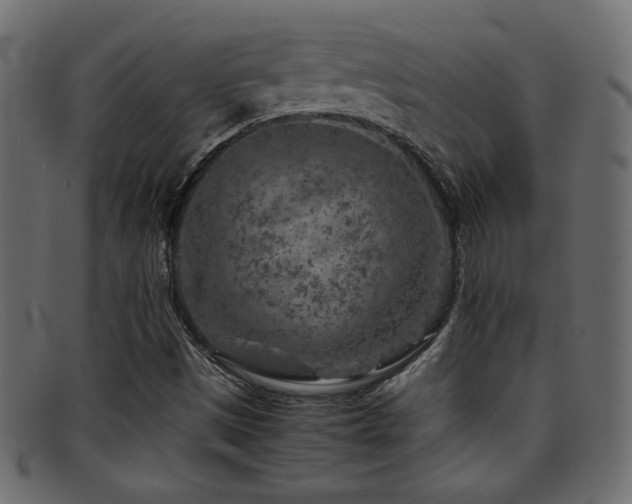 X0000095691497200801081236