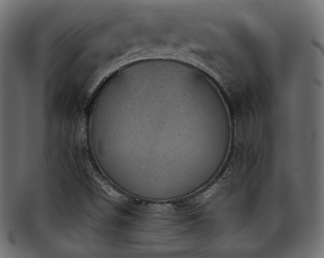 X0000095691498200801081236
