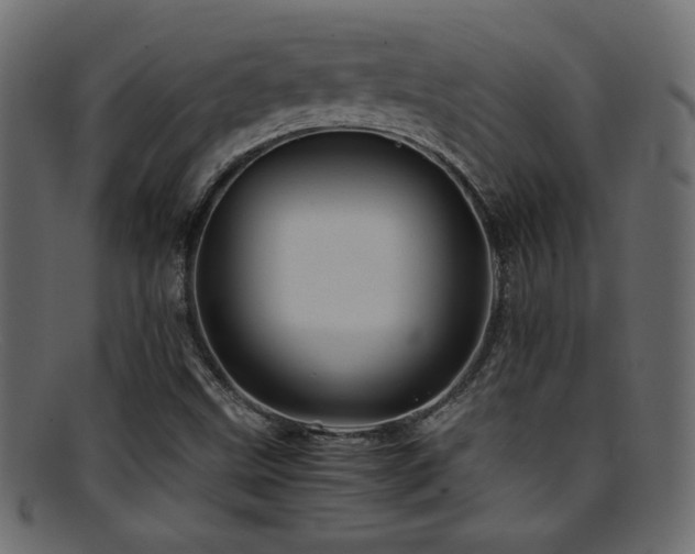X0000095691499200801081236