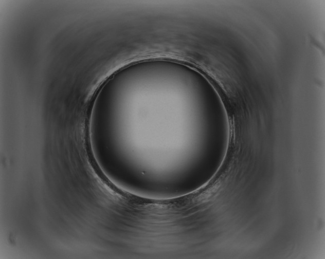 X0000095691500200801081236