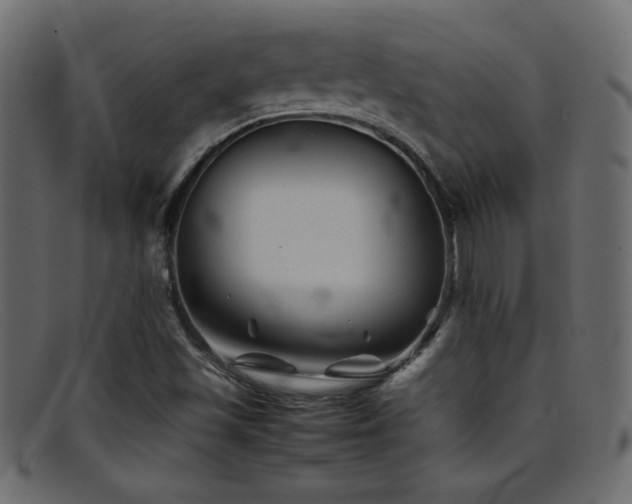 X0000095691501200801081236