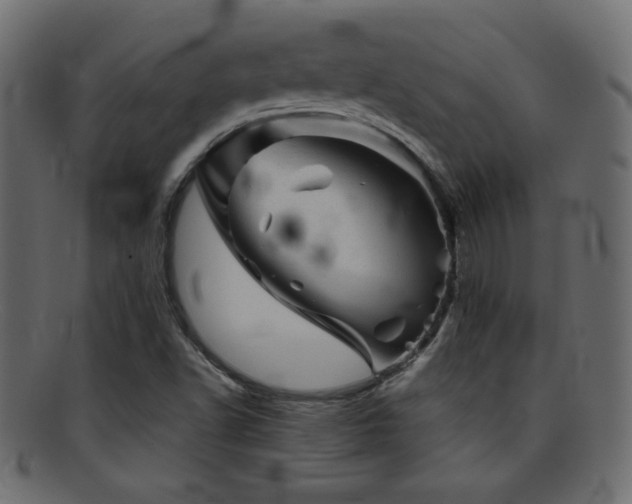 X0000095691502200801081236