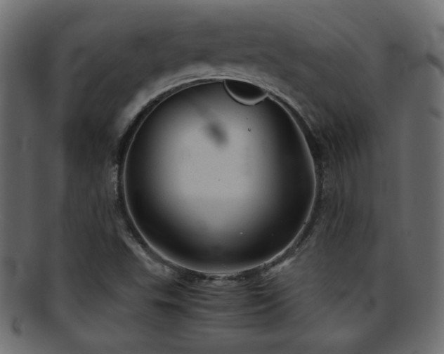 X0000095691503200801081237