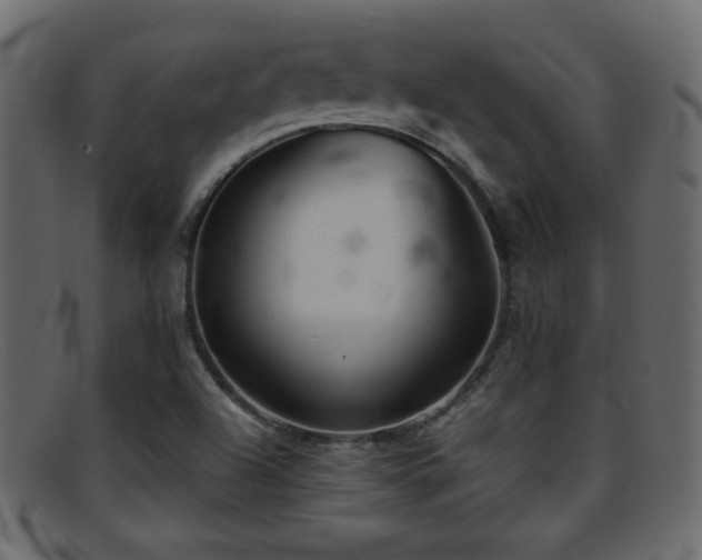 X0000095691504200801081237